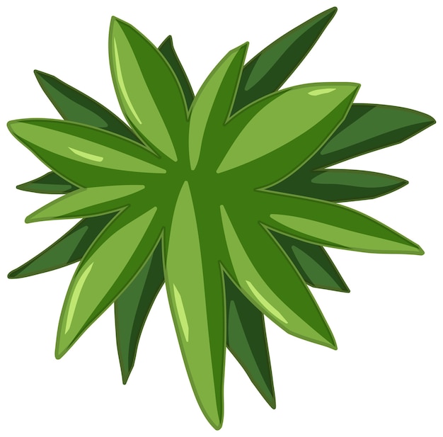 Free Vector green leaves cartoon style on white background