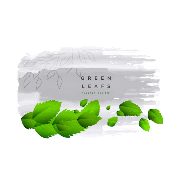 Free Vector green leaves design