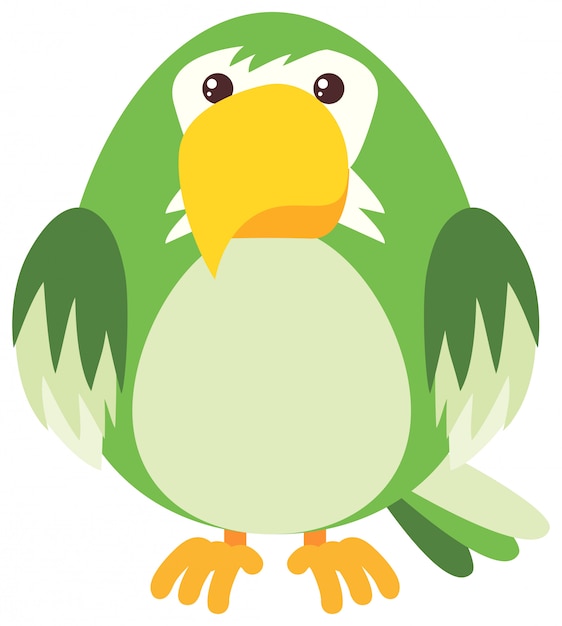 Free Vector green parrot on white background