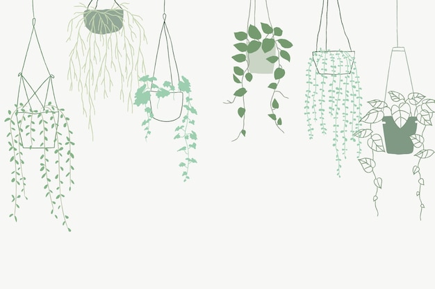 Green potted hanging plant vector background