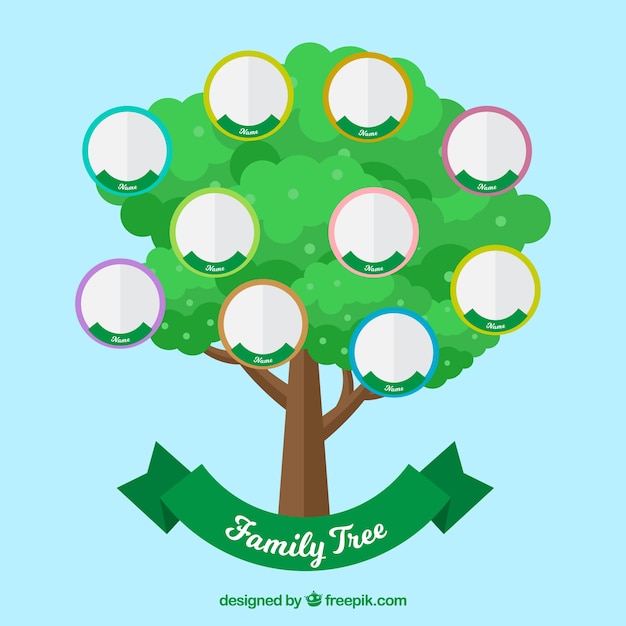 Free Vector green tree with circles for family members