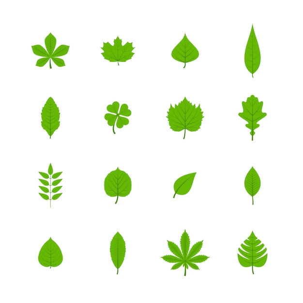 Free Vector green trees leaves flat icons set of oak aspen linden maple chestnut clover plants isolated vector illustration