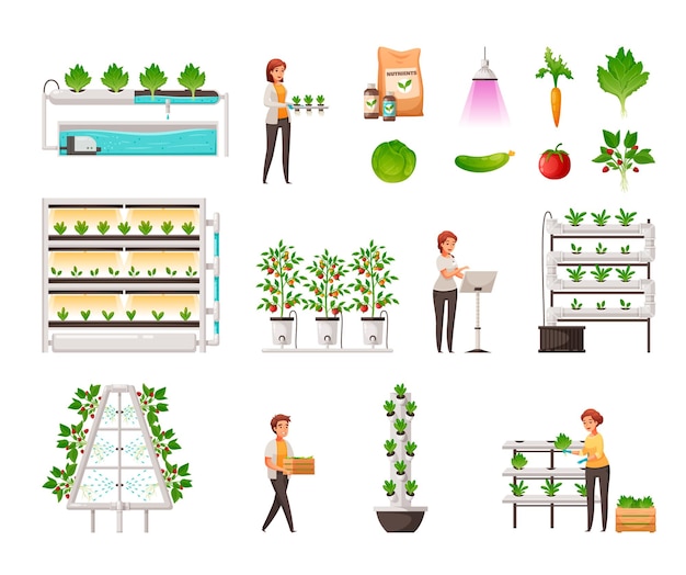 Free Vector greenhouse farming set with vertical hydroponics and aeroponics symbols cartoon vector illustration