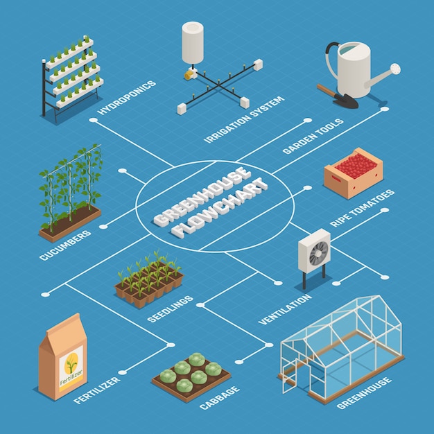 Free Vector greenhouse installations production isometric flowchart 