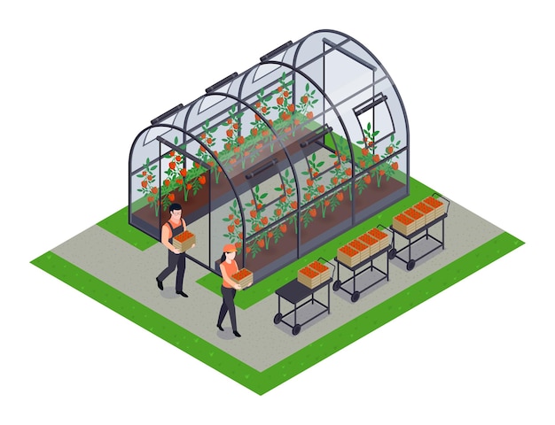 Free Vector greenhouse isometric element