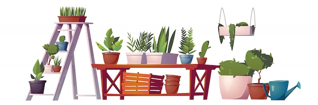 Free vector greenhouse plants, orangery or floristic store interior stuff, garden rack with potted flowers,