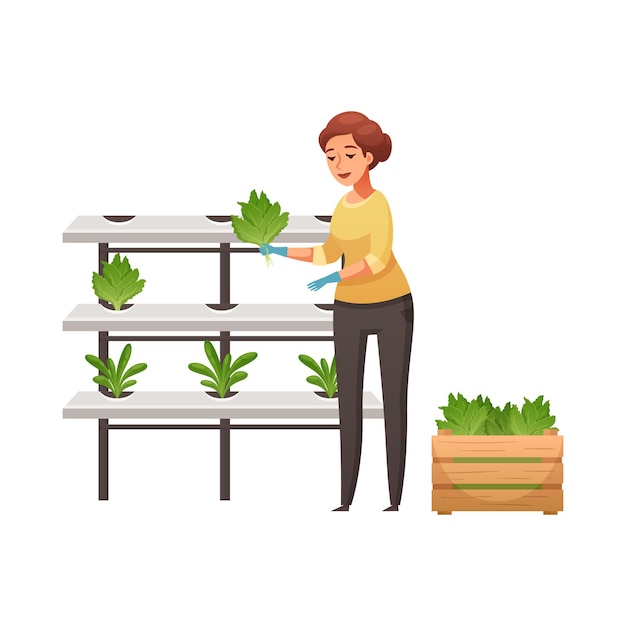 Free Vector greenhouse vertical farming hydroponics aeroponics cartoon composition with female worker vector illustration