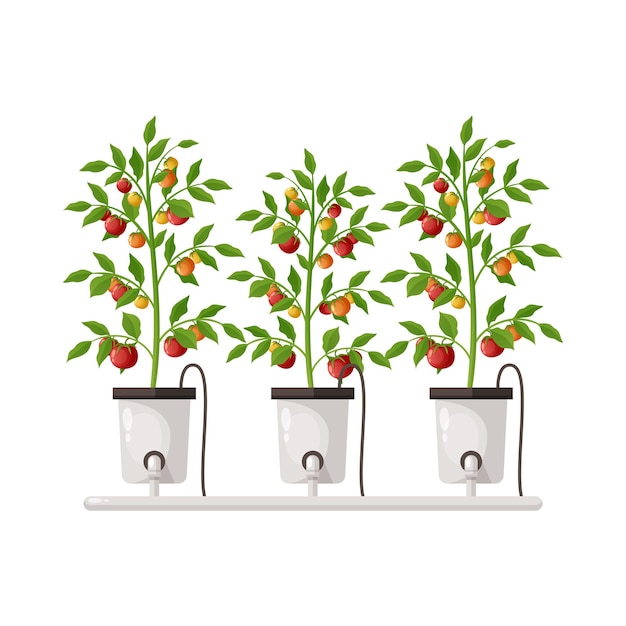 Free Vector greenhouse vertical farming hydroponics aeroponics cartoon composition with plants in pots vector illustration