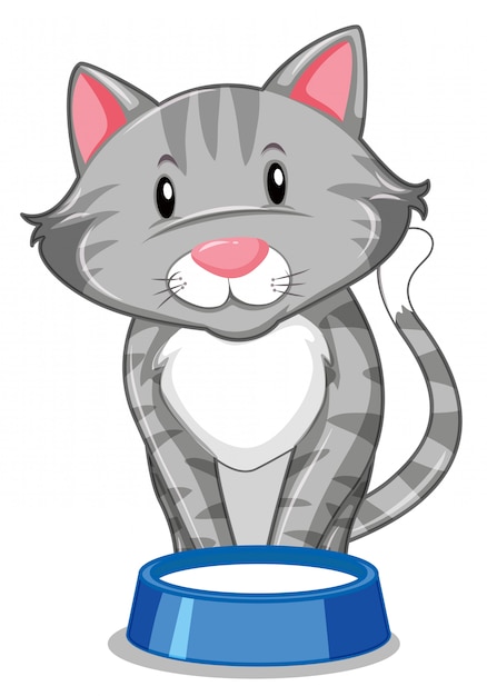 Free Vector a grey cat with food tray