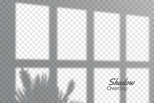 Grey overlay effect of transparent shadows theme