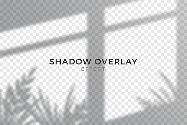 Grey overlay effect of transparent shadows