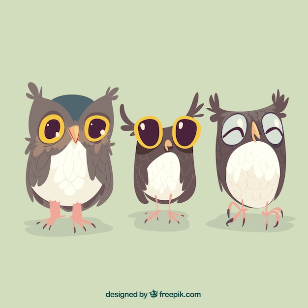 Free Vector grey owl pack