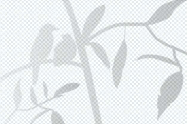 Free Vector grey shadows overlay effect design