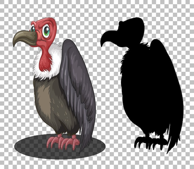 Free Vector griffon vulture cartoon character with its silhouette