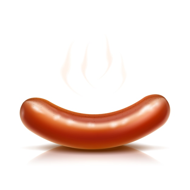 Grilled Sausage isolated on white Vector Illustration