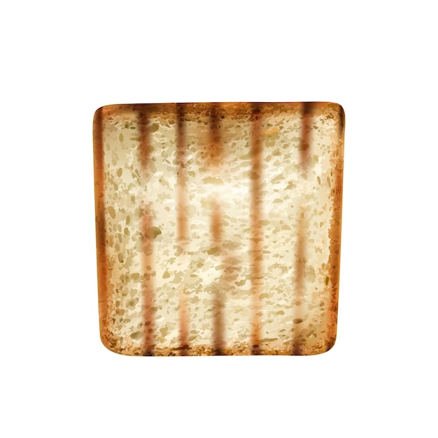 Grilled wheat bread slice on white background realistic vector illustration