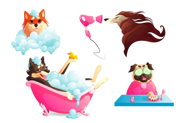 Grooming and spa salon for dogs