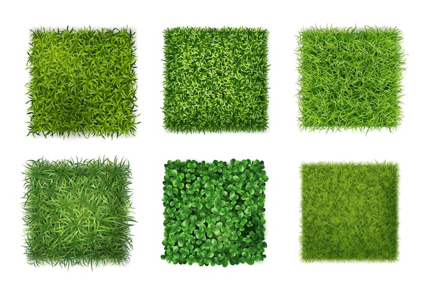 Free Vector ground cover plants background texture 6 realistic square icons set with green grass clover leaves vector illustration