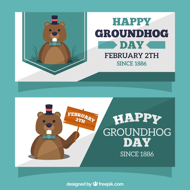 Free Vector groundhog day banner collection