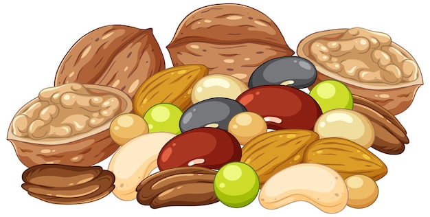 Free Vector group of different nuts isolated