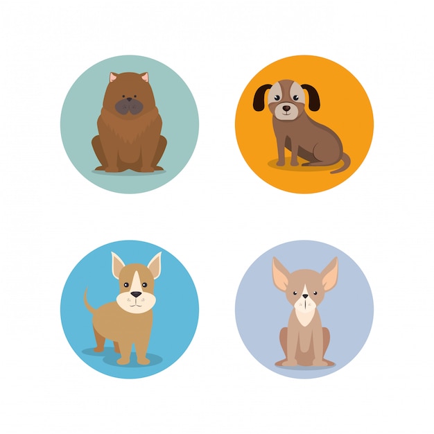 Free vector group of dog breeds