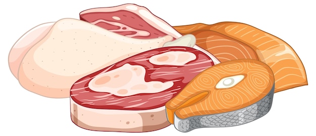 Group of Protein Meat Products in Vector Illustration