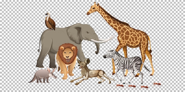 Free vector group of wild african animal on transparent background