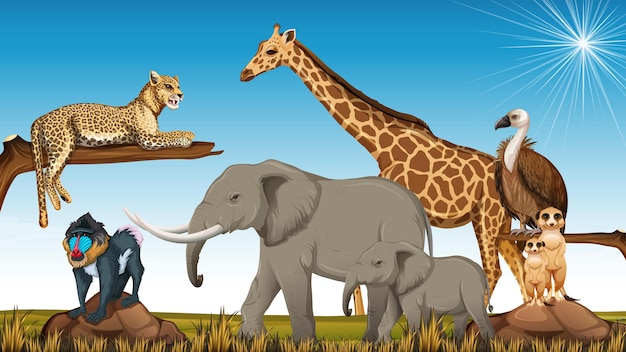 Free Vector group of wild african animal in the zoo scene