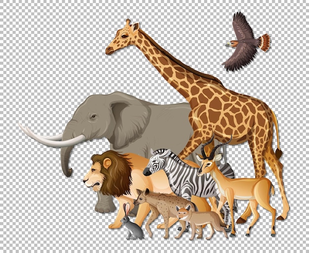 Free Vector group of wild african animals on transparent background