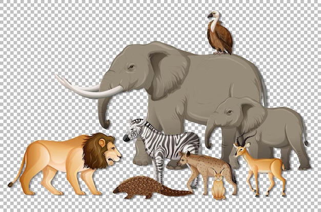 Group of wild african animals on transparent background