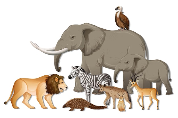 Free Vector group of wild african animals on white background