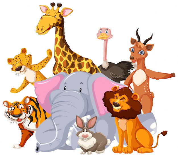 Group of wild animal cartoon character