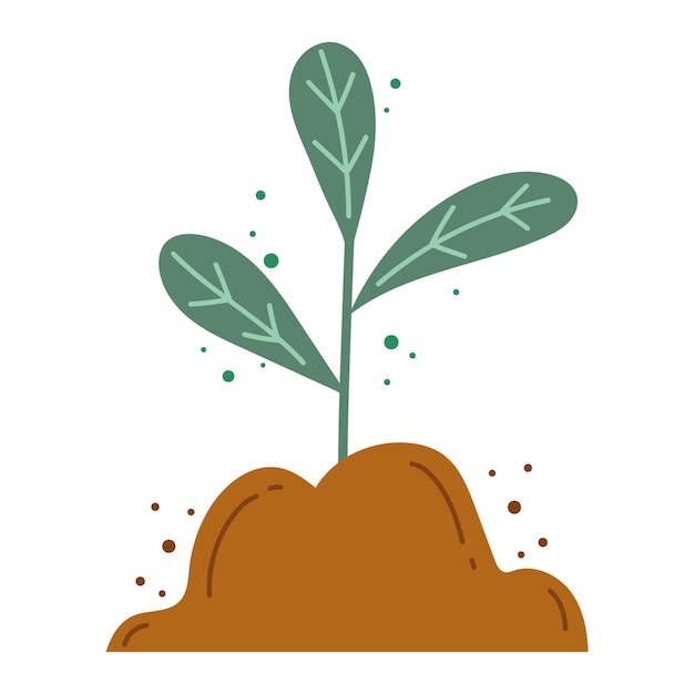 Free Vector growing plant nature growth and development icon isolated