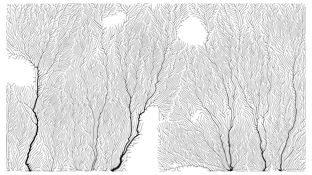 Growth pattern Generative branching structure Organic net of vessels texture