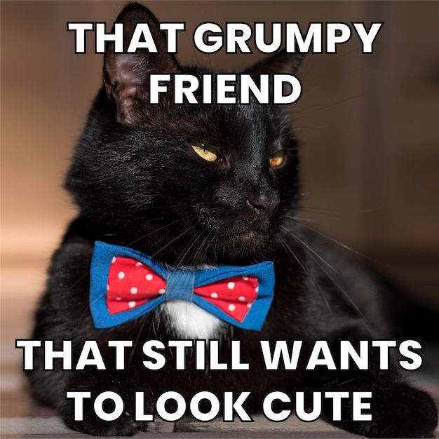 Grumpy by cute meme with text