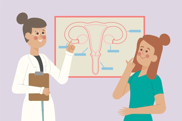 Gynecology consultation illustrated style