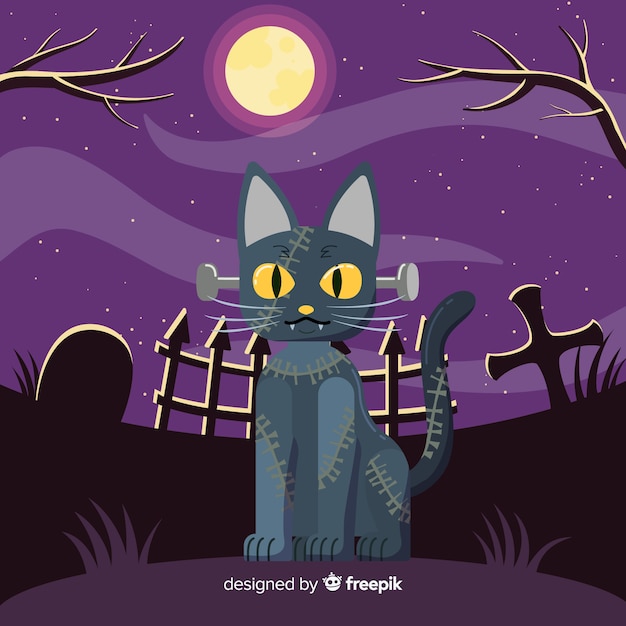 Halloween background with black cat