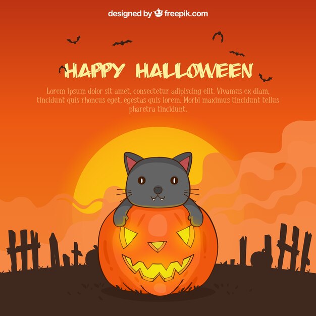 Halloween background with cat and pumpkin