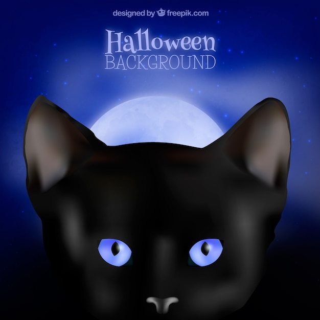 Free vector halloween black cat background with blue eyes