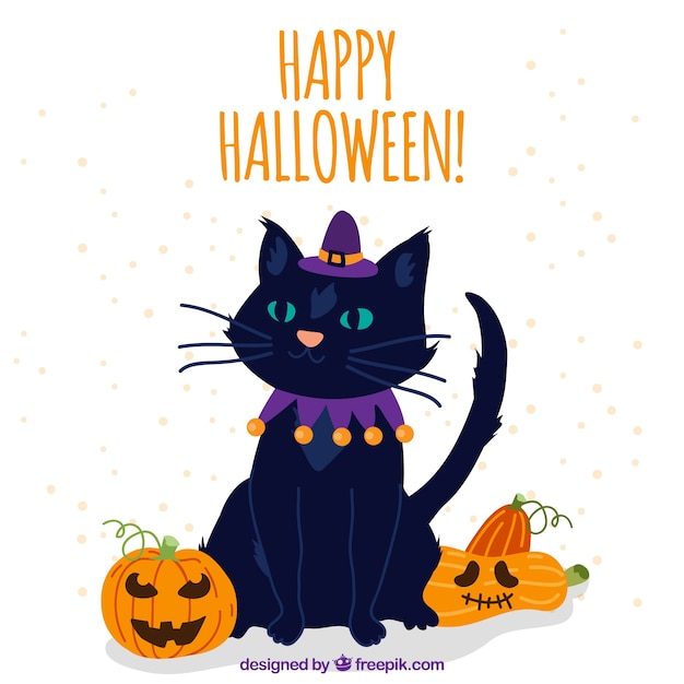 Free vector halloween cat with witch hat and pumpkins