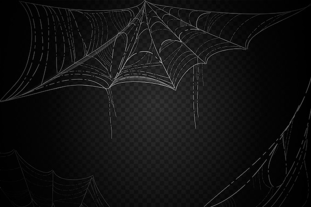 Halloween cobweb background concept