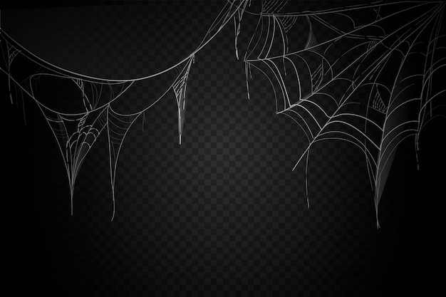 Free Vector halloween cobweb background design