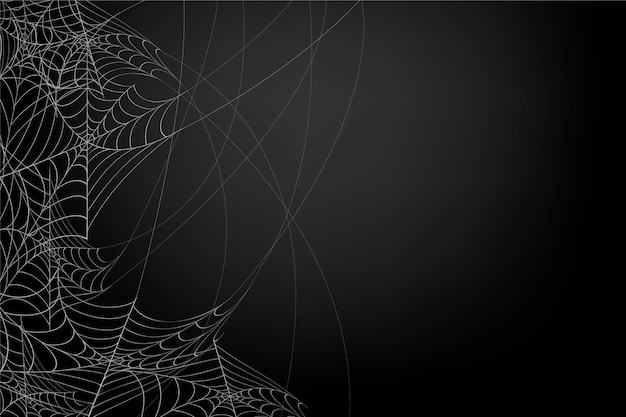 Free vector halloween cobweb background