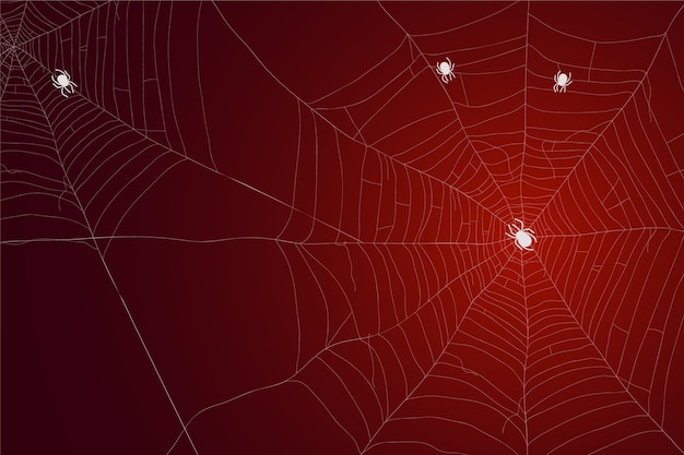 Halloween cobweb wallpaper