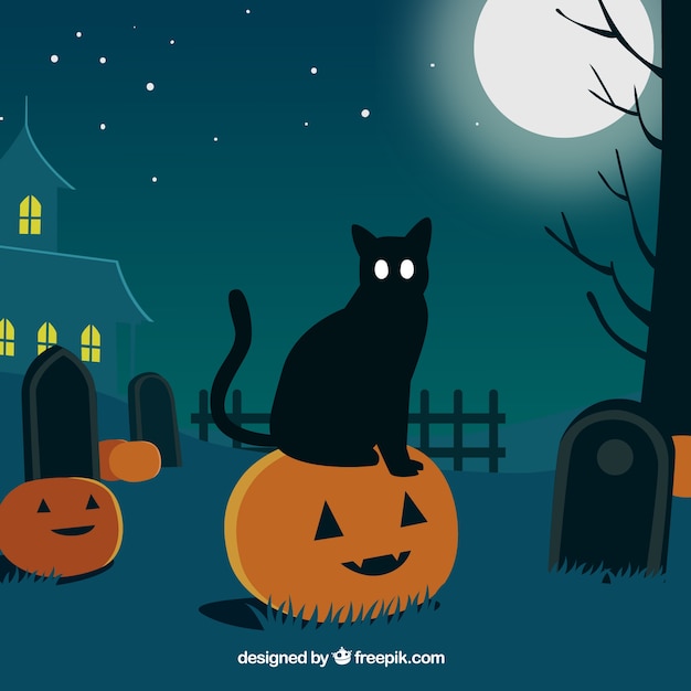 Halloween landscape background with cat on top of a pumpkin