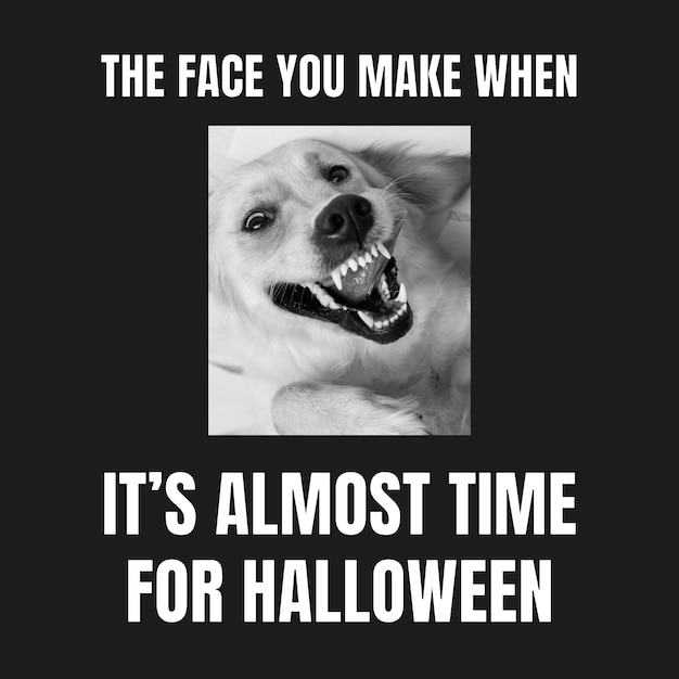 Halloween season meme design