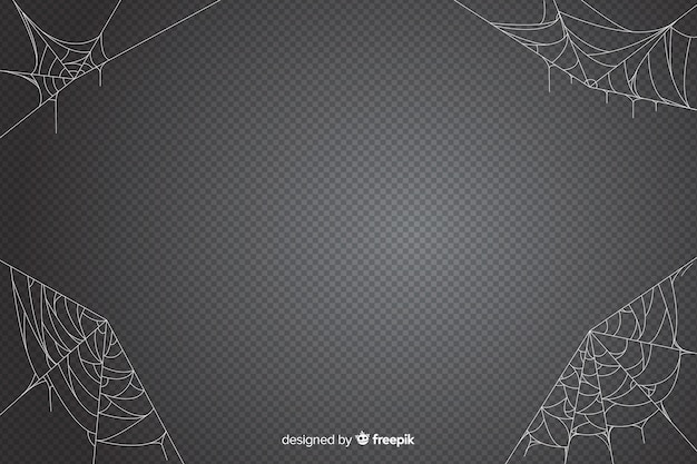 Halloween spider web backdrop