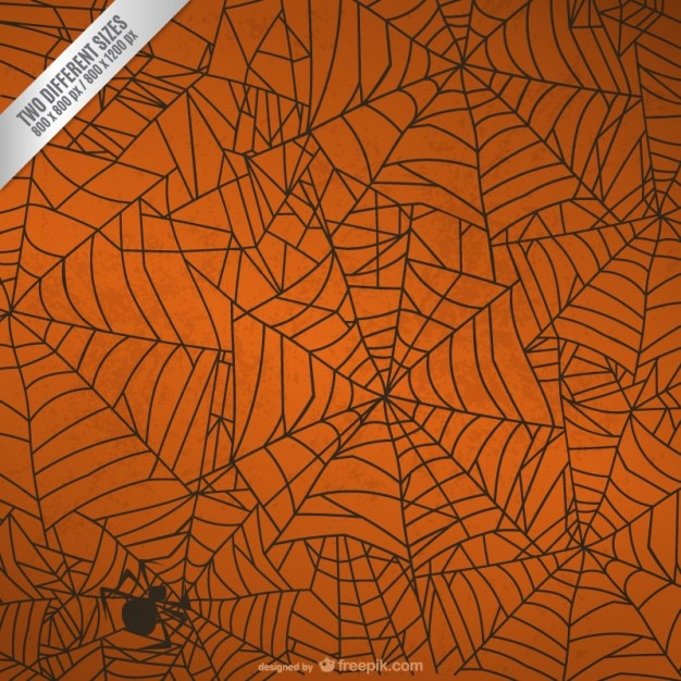 Free Vector halloween spider web background