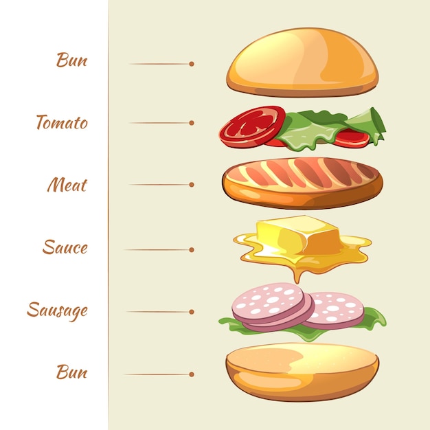 Hamburger ingredients infographic template