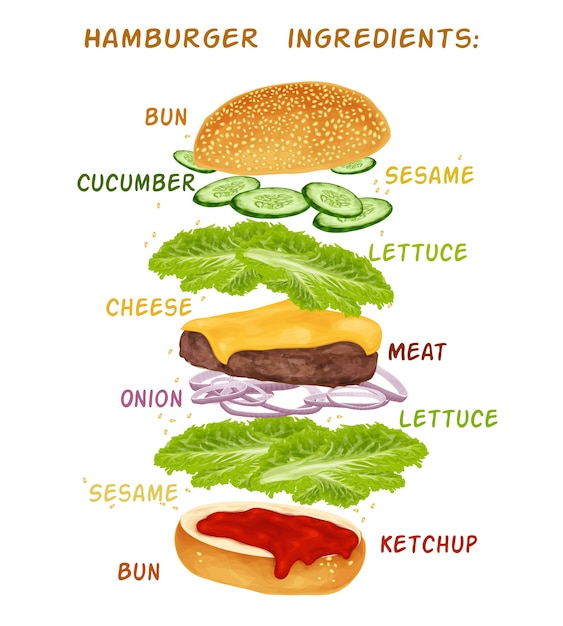 Free Vector hamburguer ingredients design